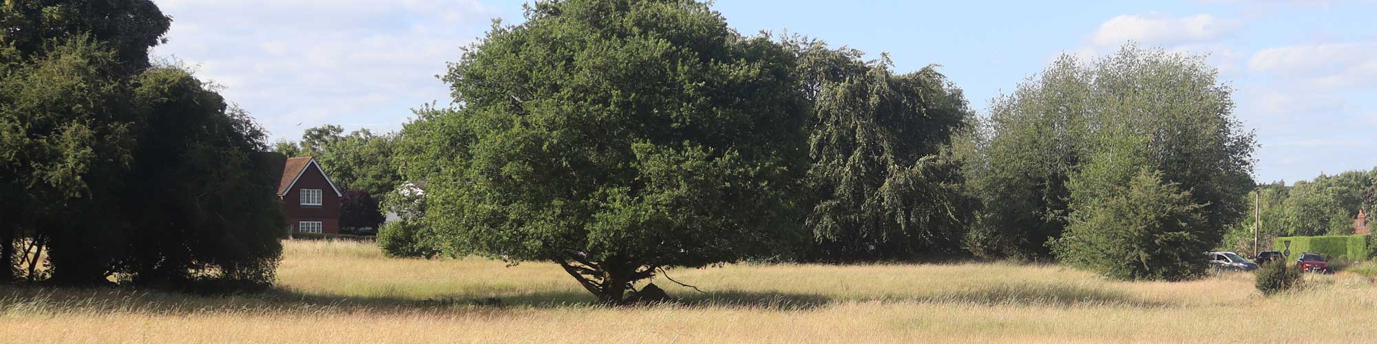 Rotherfield Peppard Parish Council